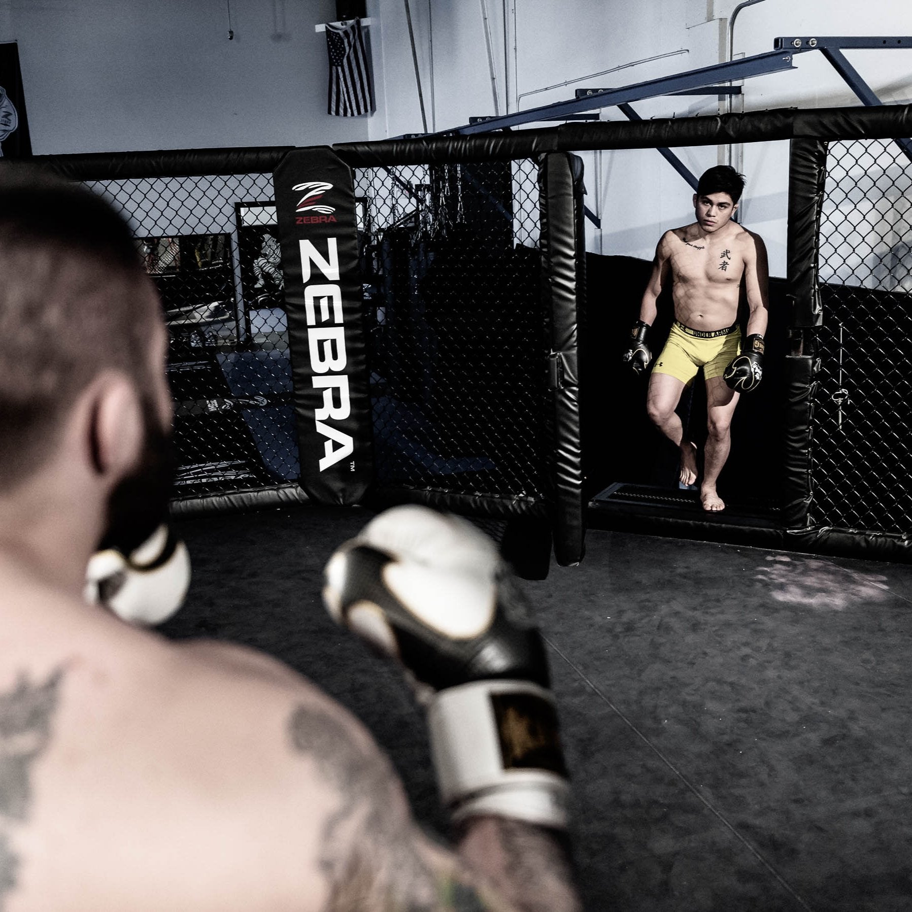 ZEBRA Training MMA Cage – Zebra Athletics Australia